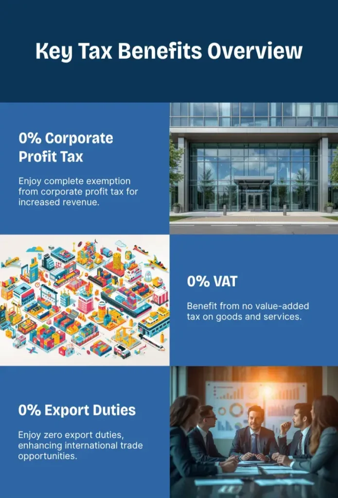 virtual zone, tax benefits