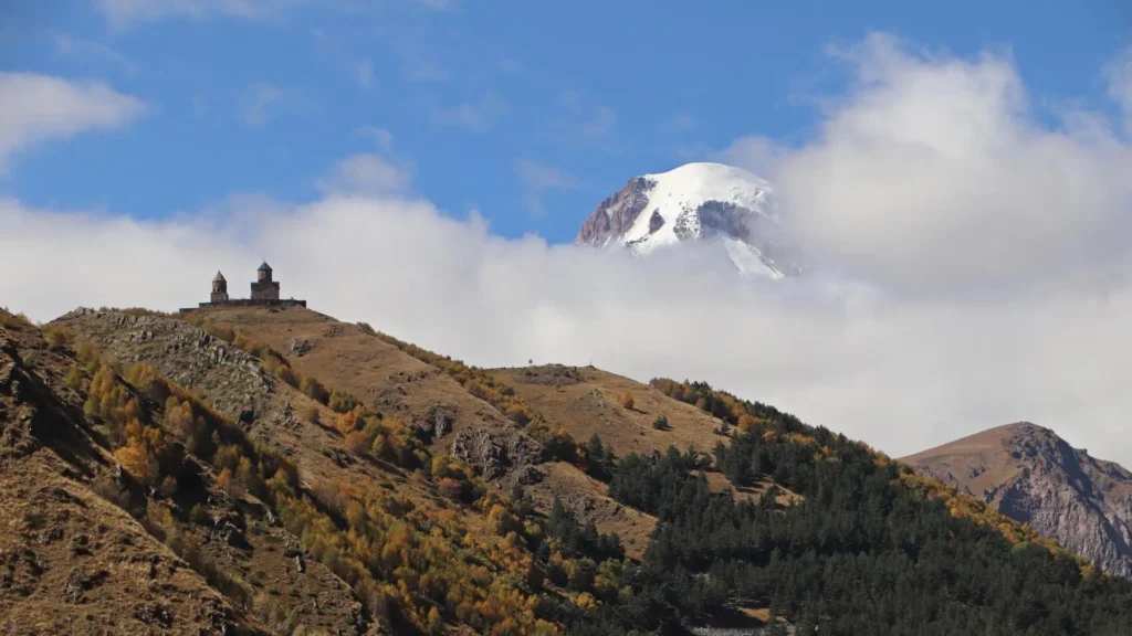 Georgia business insights
